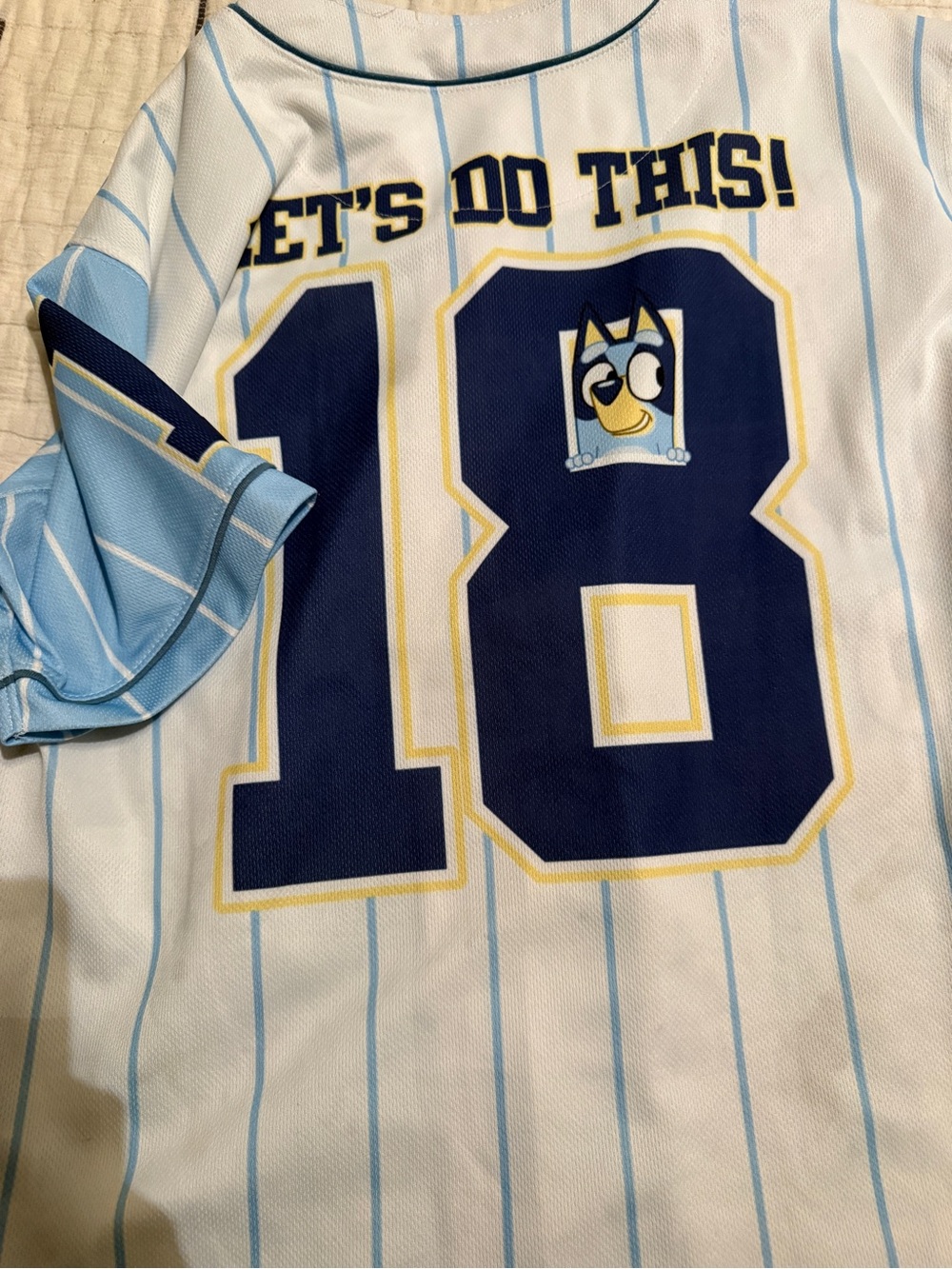Bluey White and Light Blue Pinstripe Baseball Jersey